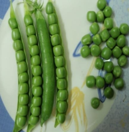 PEA